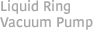 Liquid Ring Vacuum Pump